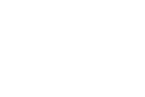 fortis