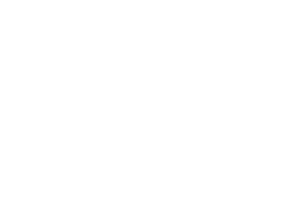 wośp