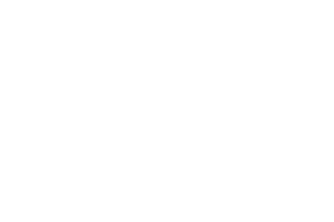 paszporty polityki